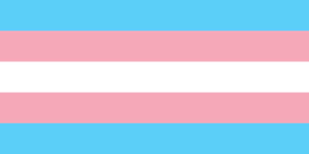Flaga dumy transpłciowej puzzle online