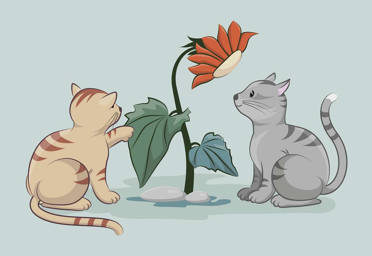 Kot i kwiat puzzle online