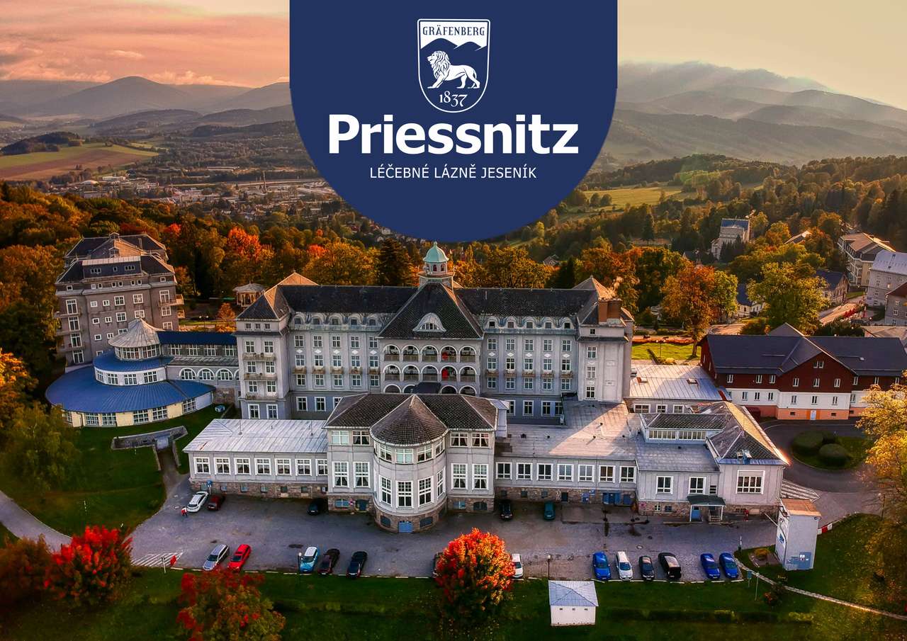 Priessnitza puzzle online ze zdjęcia