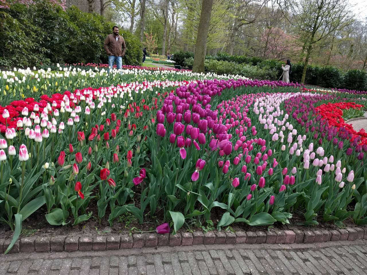 Ogród tulipanów Keukenhof puzzle online ze zdjęcia