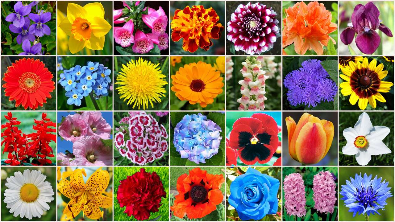 Kwiaty letnie puzzle online ze zdjęcia