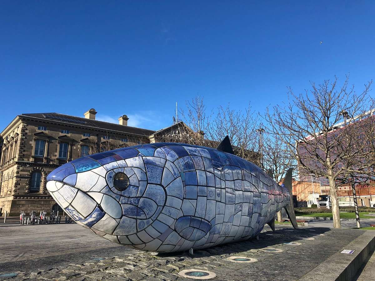 Duża ryba puzzle online ze zdjęcia