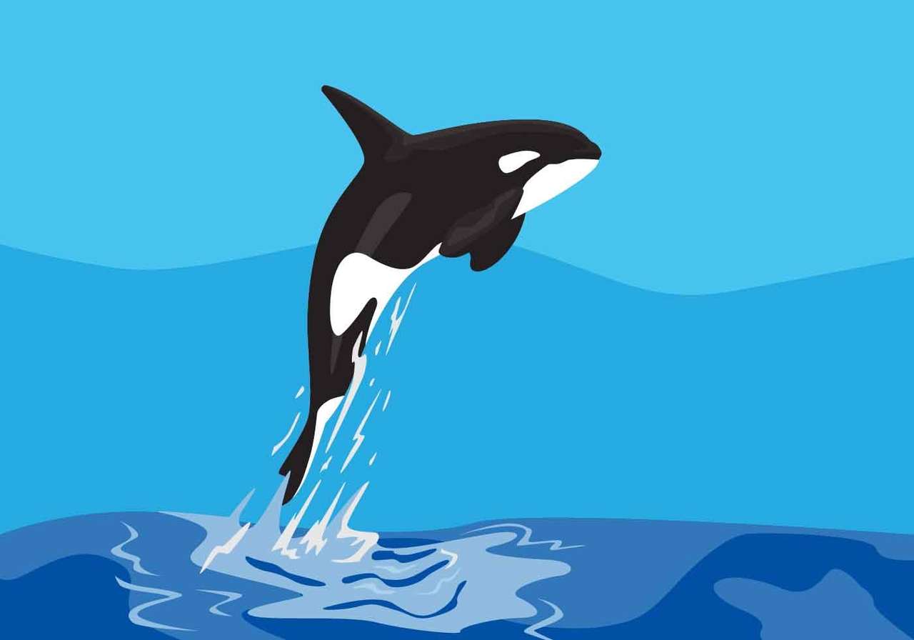 Kreskówka ORCA puzzle online