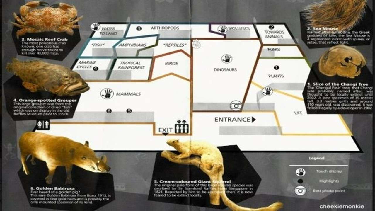 Mapa muzeum LKC puzzle online ze zdjęcia