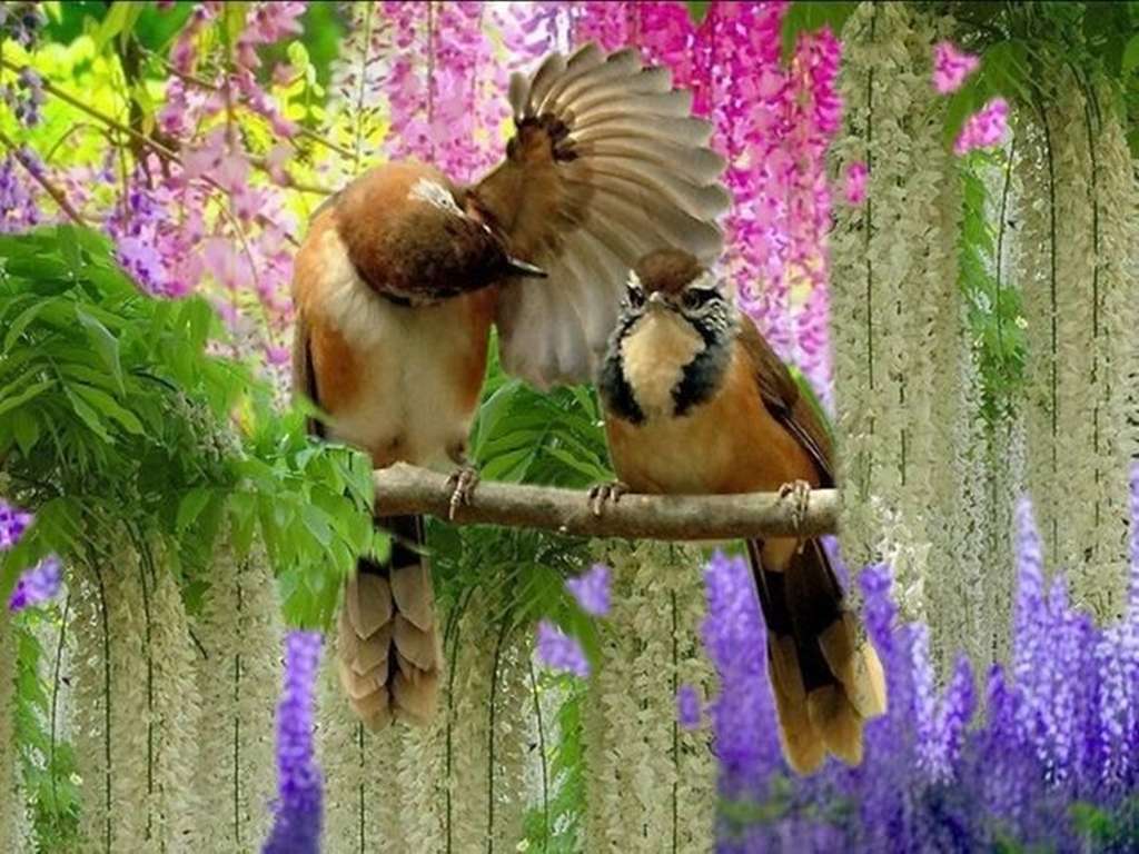 Ptaki Wśród Kwiatów puzzle online ze zdjęcia