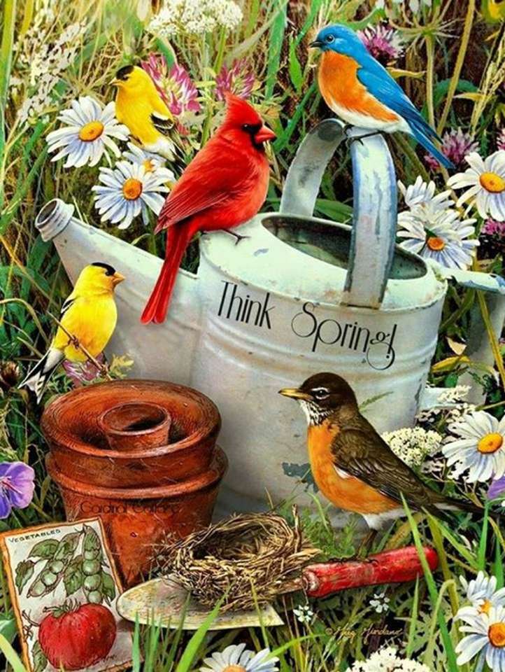 Wiosenne Ptaki puzzle online ze zdjęcia