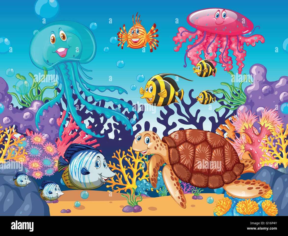 zwierzęta morskie puzzle online ze zdjęcia