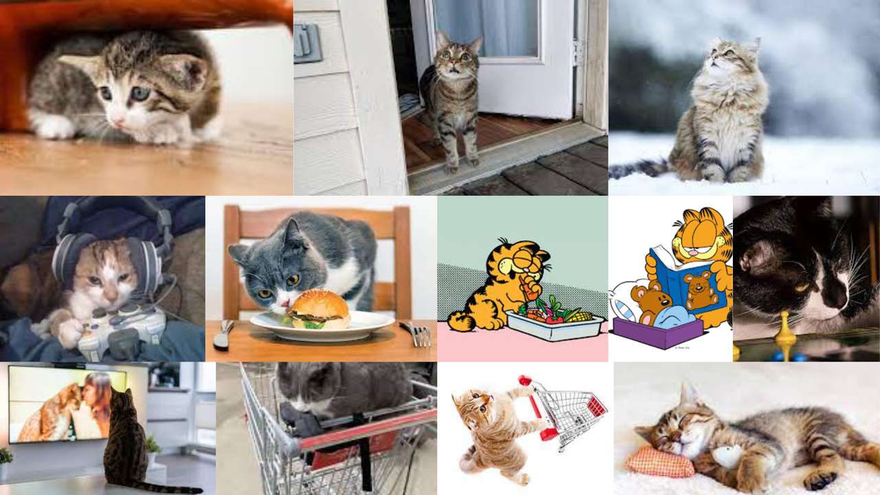 epicki kolaż kota puzzle online ze zdjęcia