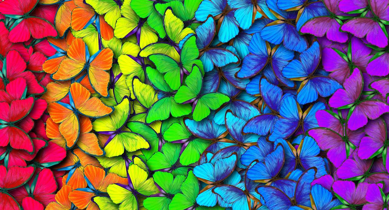Tęczowa sztuka motyla puzzle online ze zdjęcia