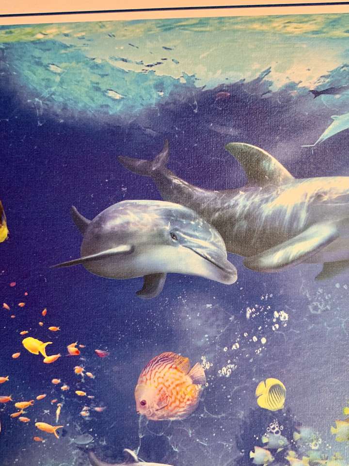 Delfin S puzzle online