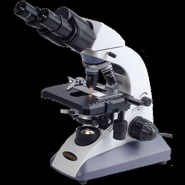 mikroskop puzzle online ze zdjęcia