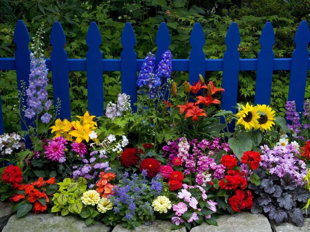 Niebieskie ogrodzenia i kwiaty puzzle online