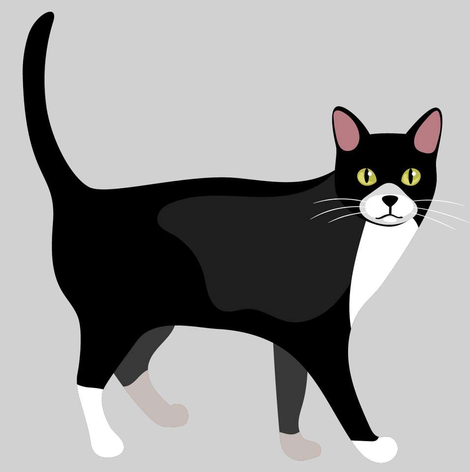 czarny kot puzzle online ze zdjęcia