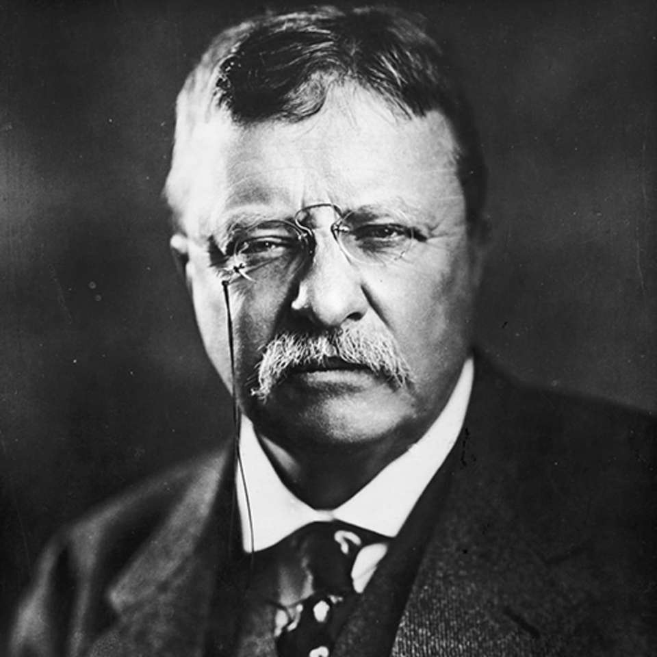 Teddy'ego Roosevelta puzzle online ze zdjęcia