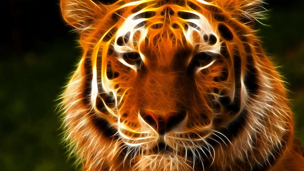 tygrys adw puzzle online