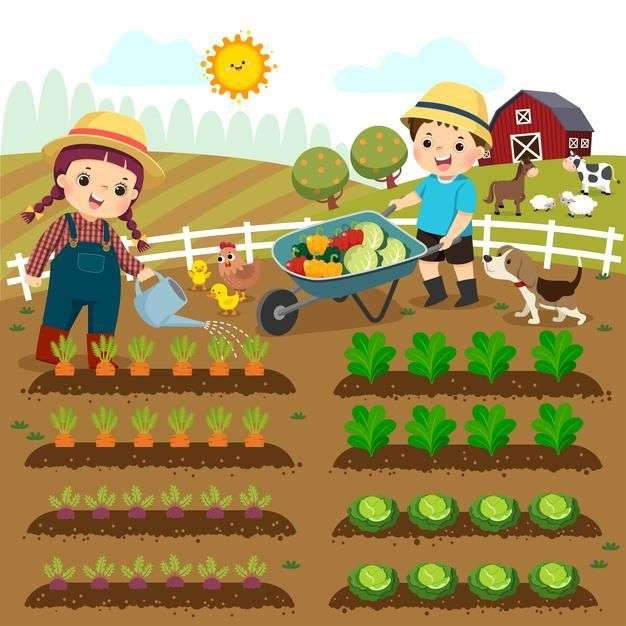 Rolnictwo puzzle online ze zdjęcia