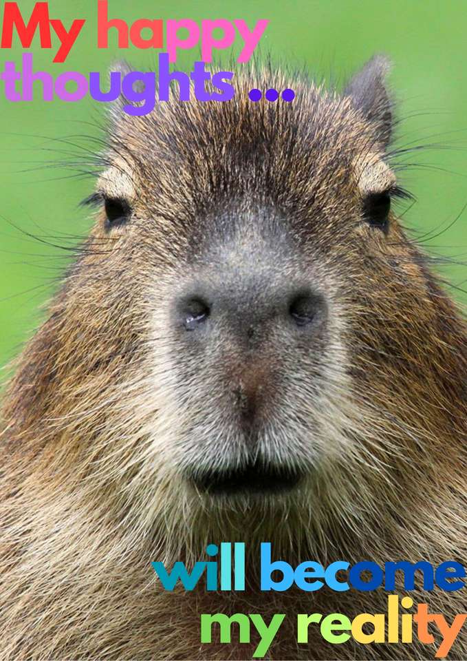 Afirmacja kapibary puzzle online
