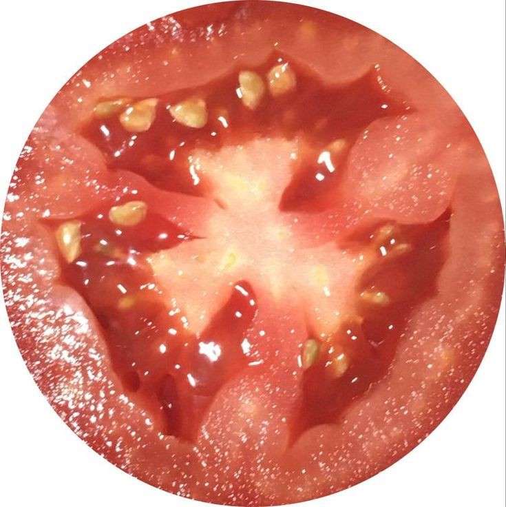 pomidorki puzzle online