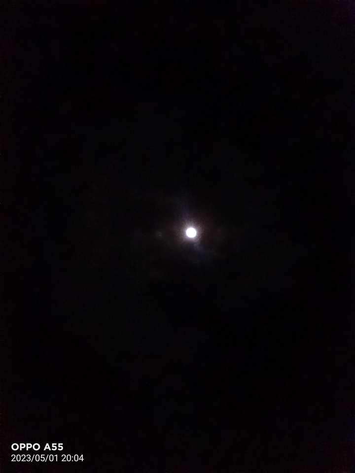 Światło księżyca puzzle online ze zdjęcia
