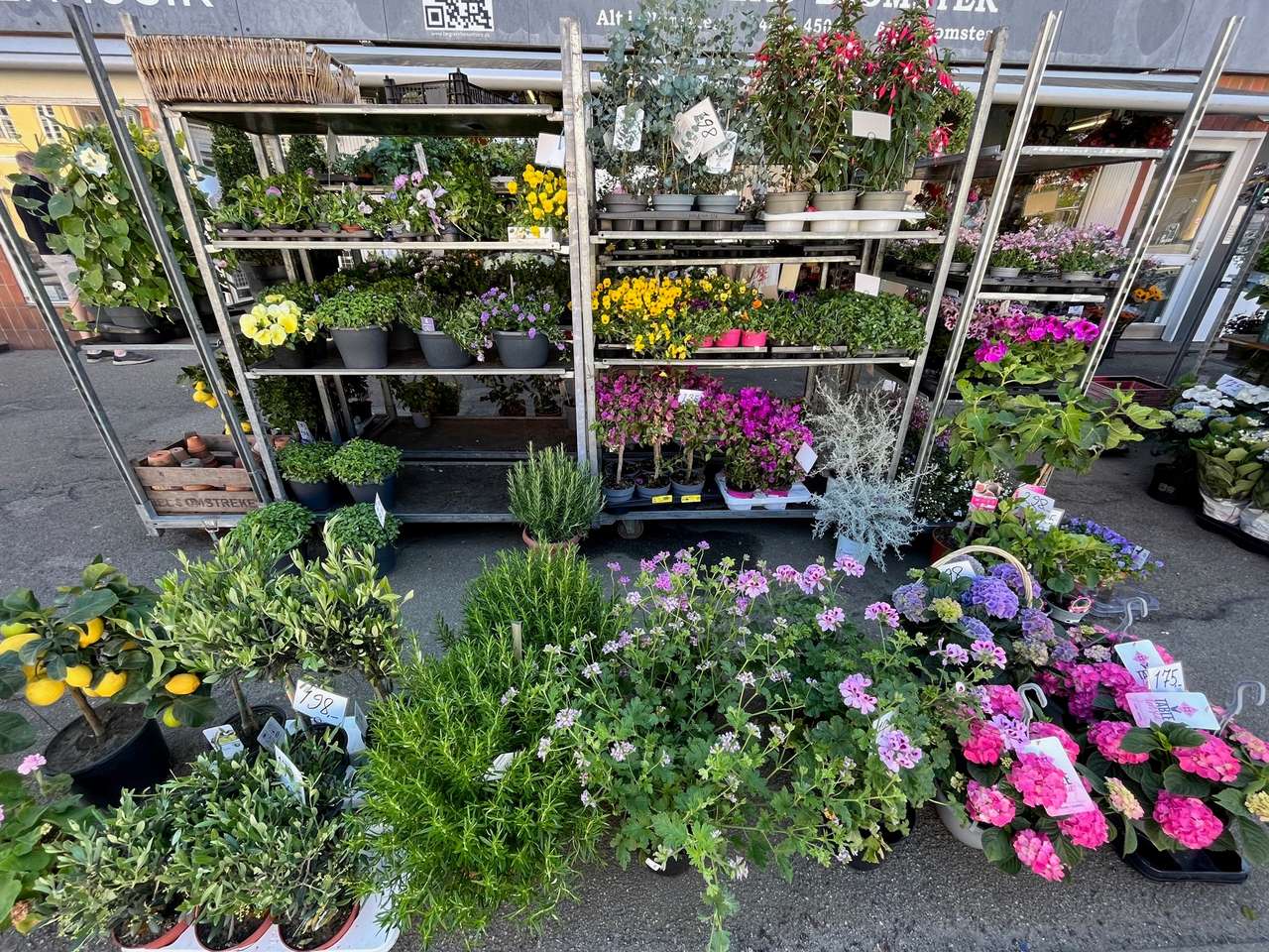 Kwiaciarnia w Danii puzzle online ze zdjęcia