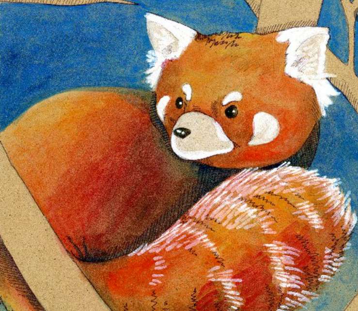 Czerwona panda puzzle online