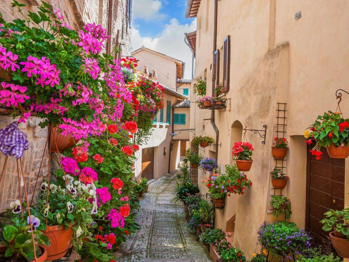 Włochy Z Kwiatami puzzle online