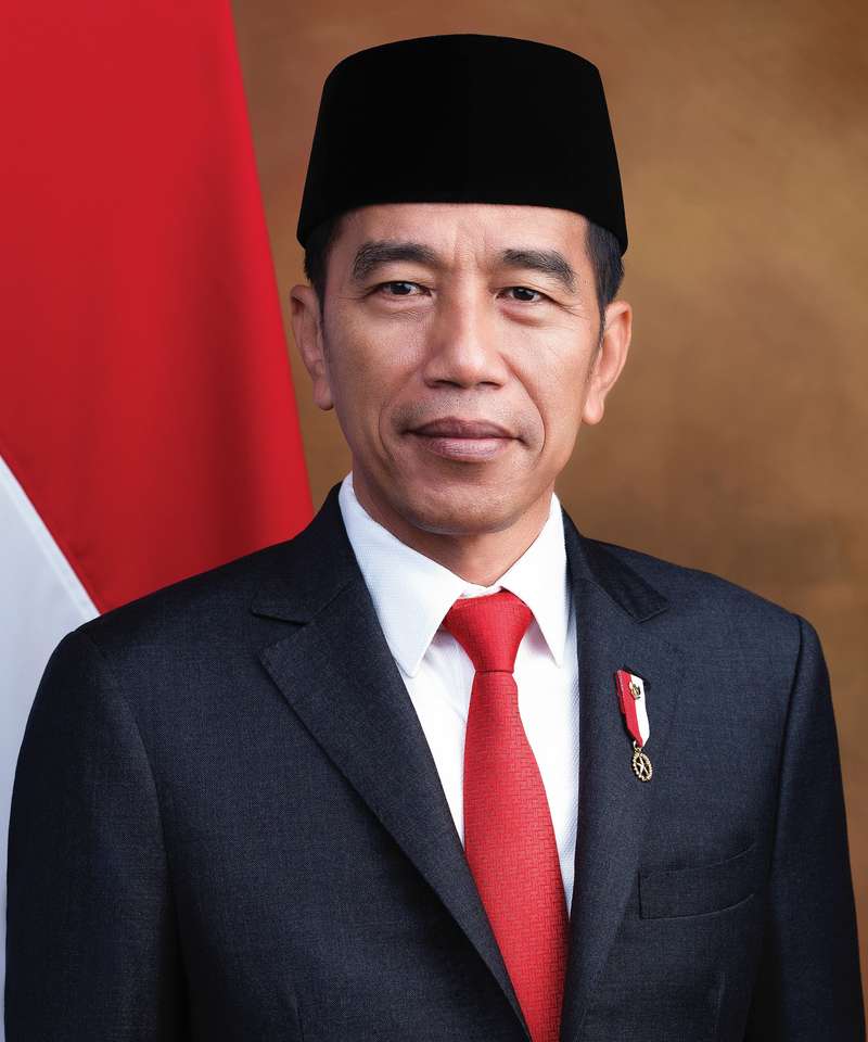 pak jokowi puzzle online