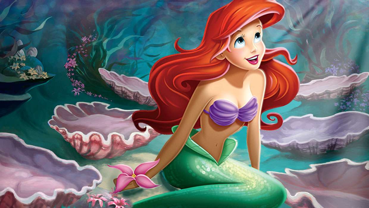 Ariel sam na sam 1 puzzle online ze zdjęcia