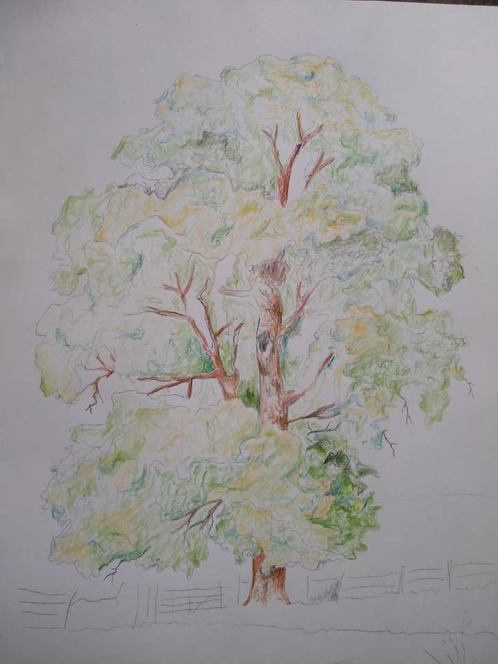 narysowane drzewo puzzle online ze zdjęcia