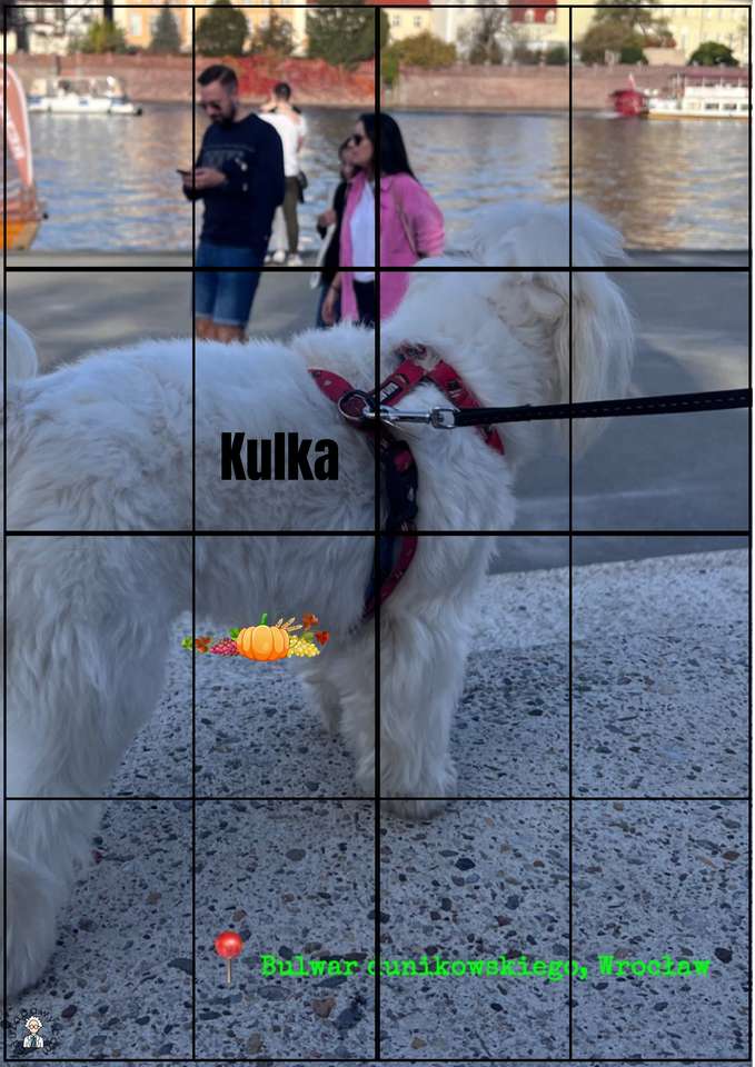kulkae32e puzzle online ze zdjęcia