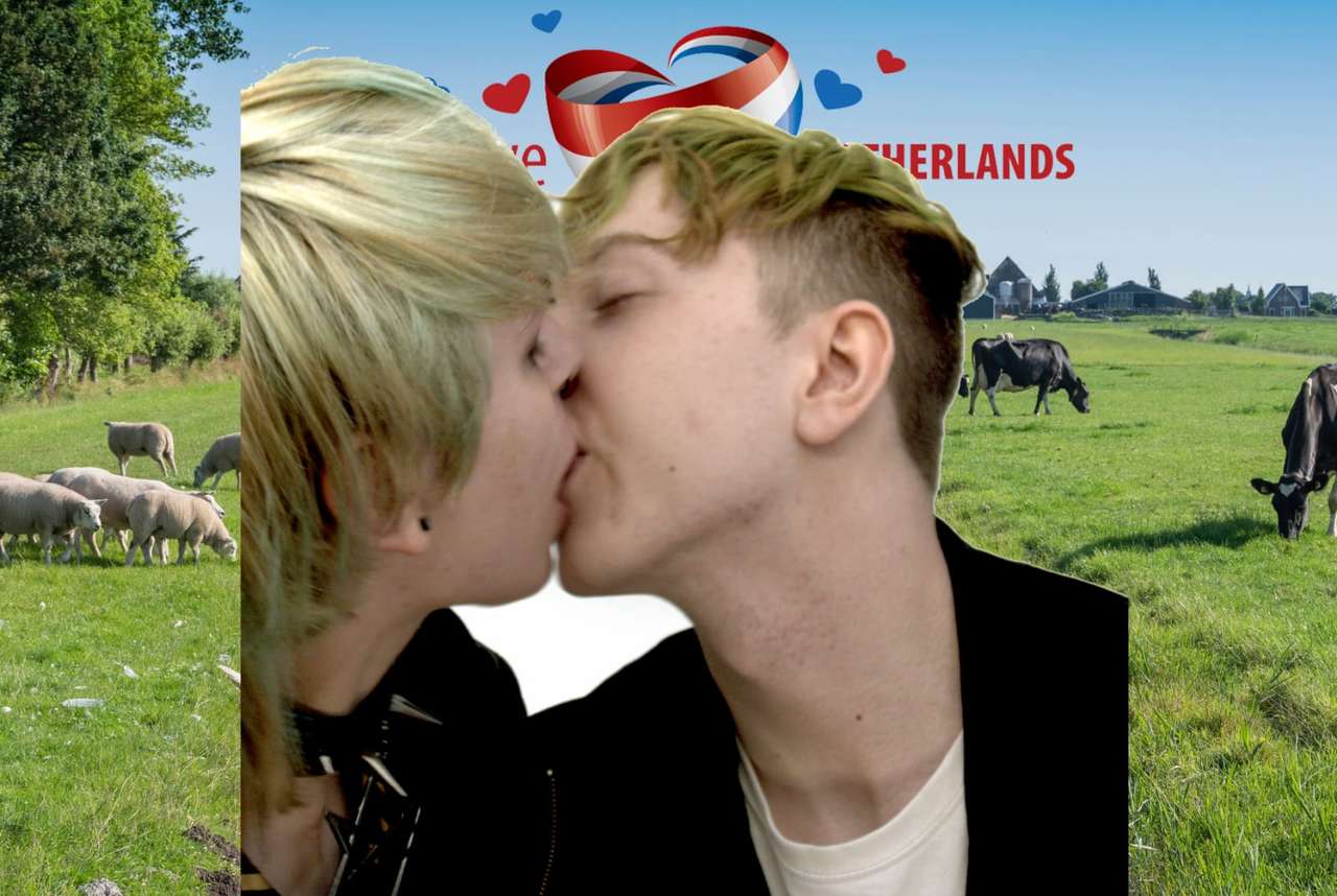 Całowanie na łące puzzle online ze zdjęcia