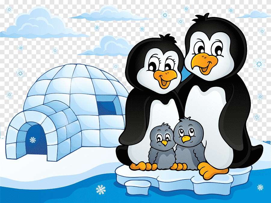pingwiny puzzle online ze zdjęcia