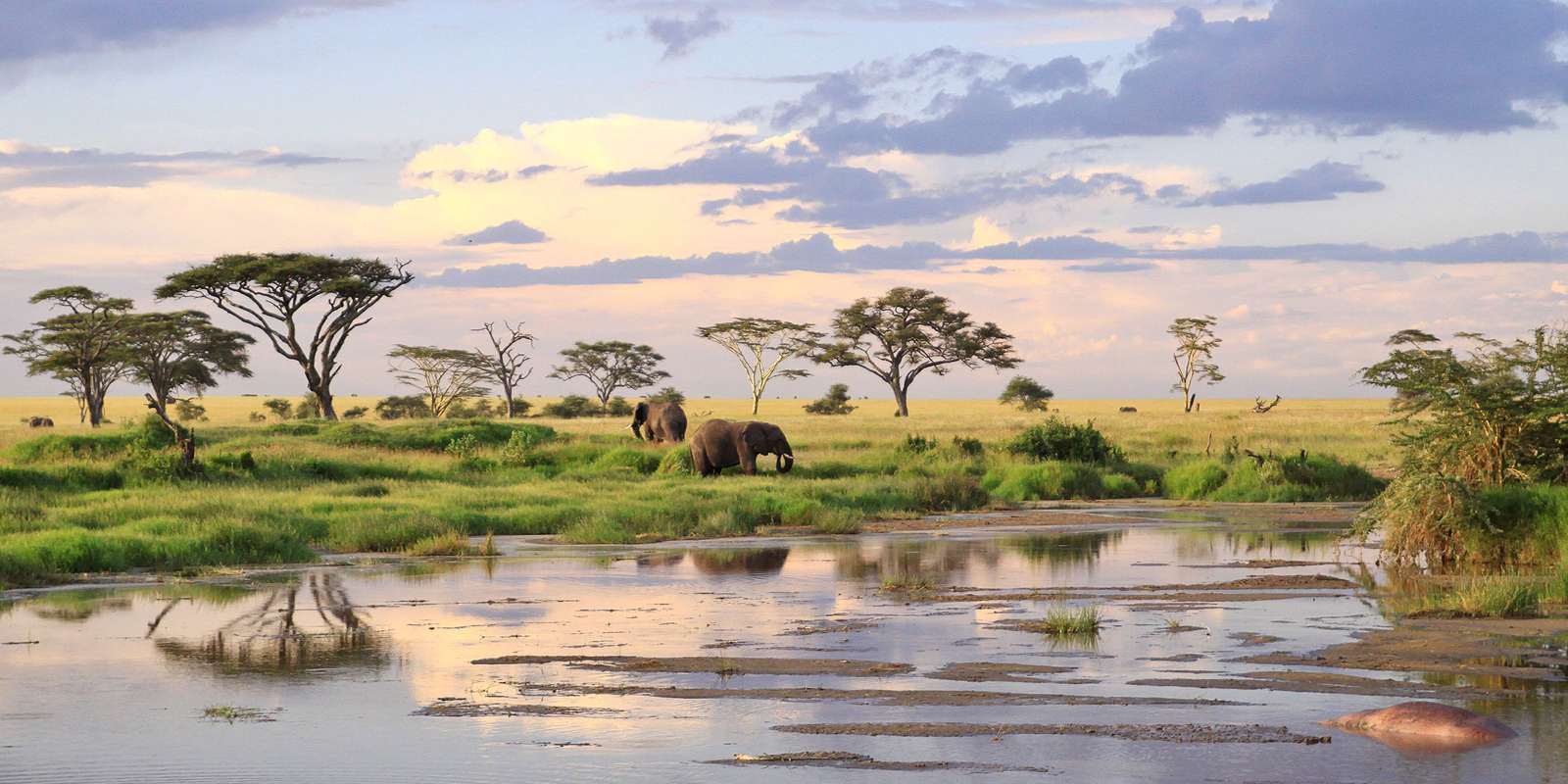 Popołudnie w Serengeti puzzle online