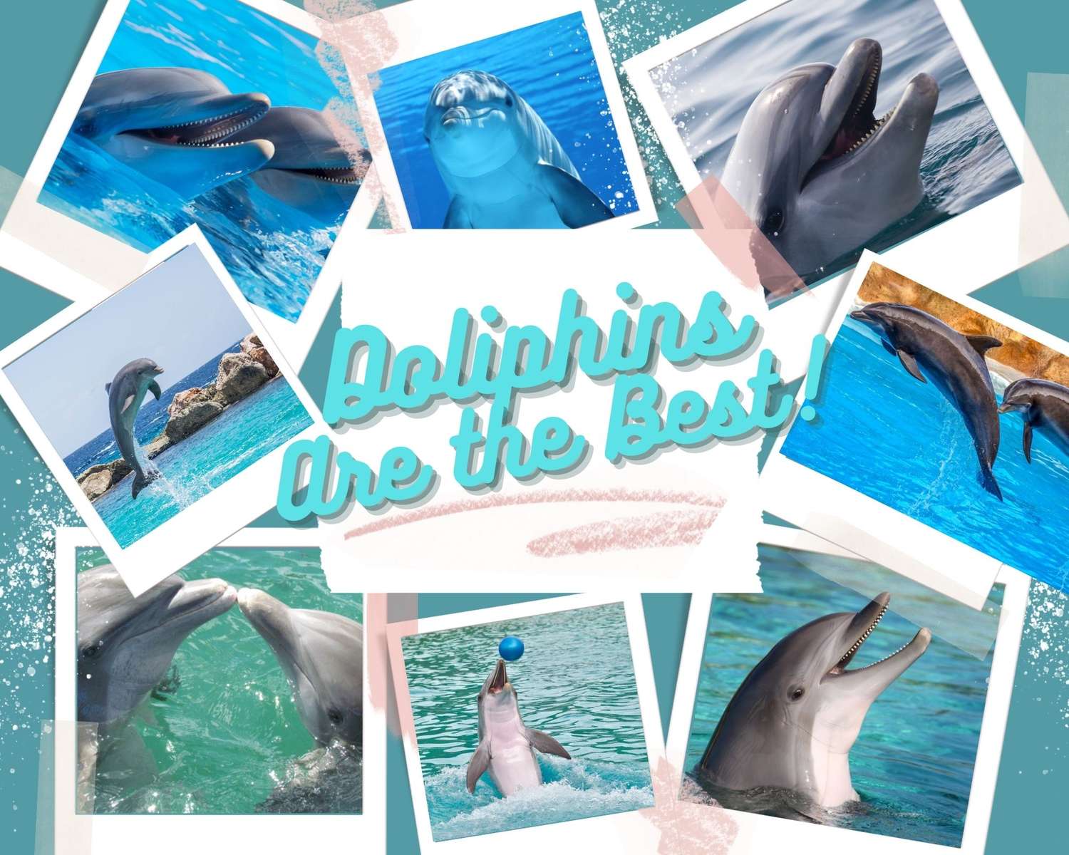 Delfiny puzzle online ze zdjęcia