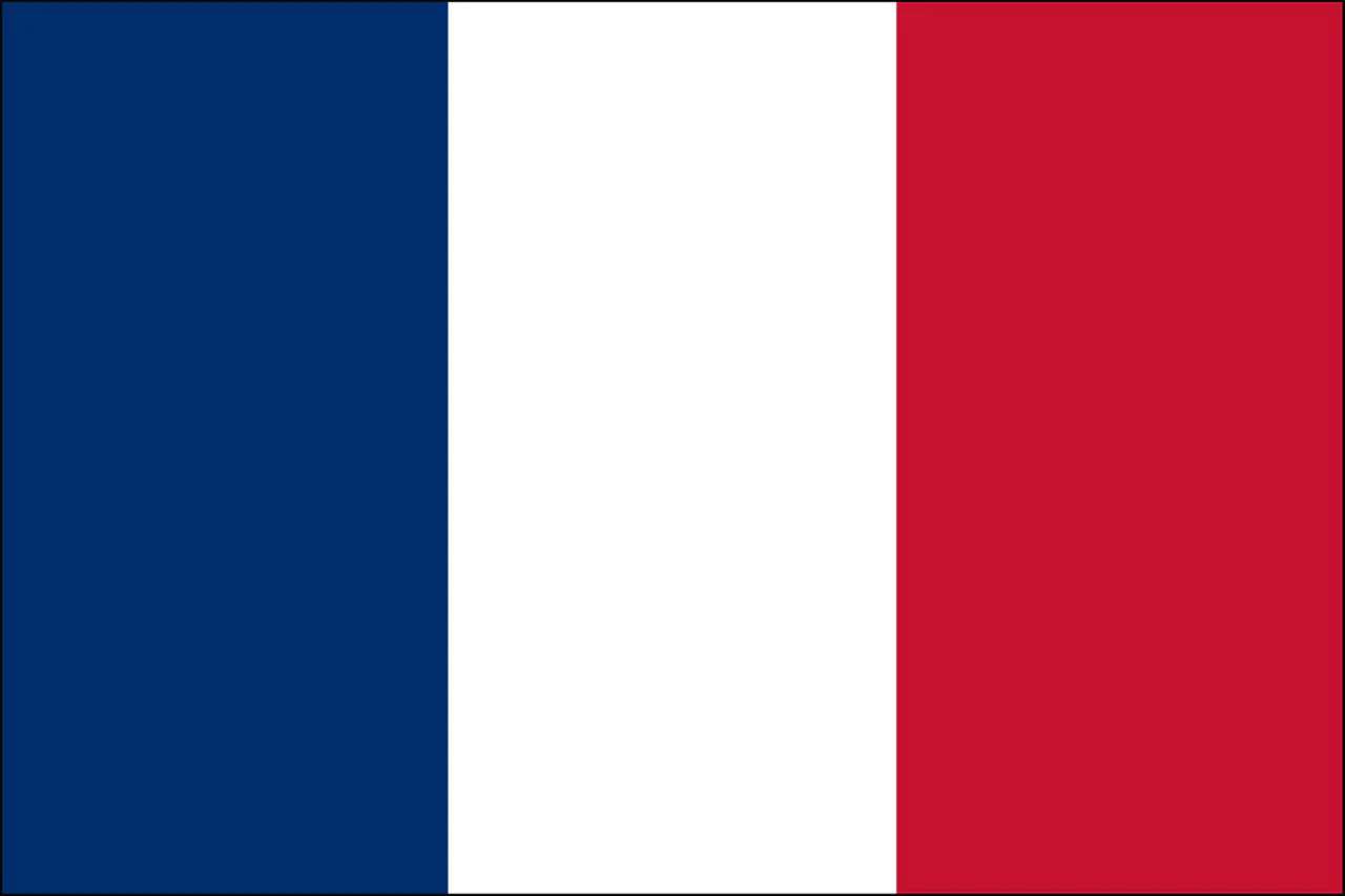 flaga francuska puzzle online