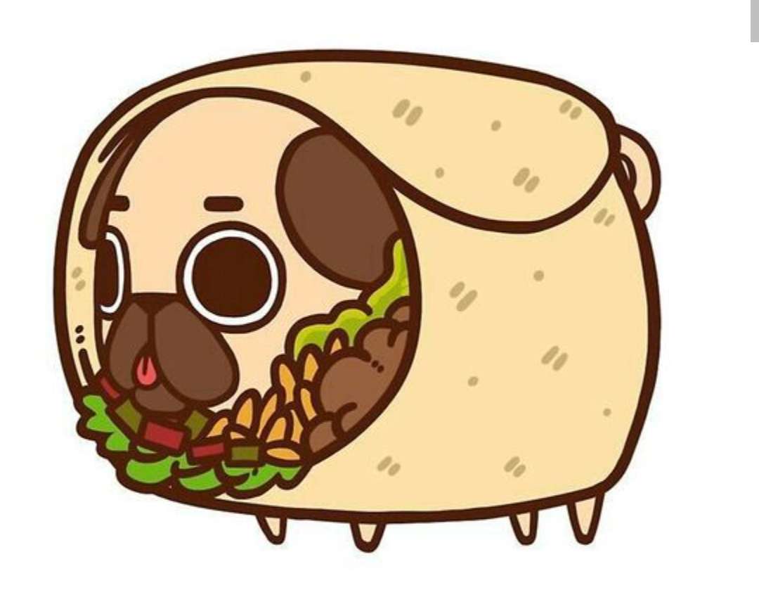 pies w taco puzzle online ze zdjęcia
