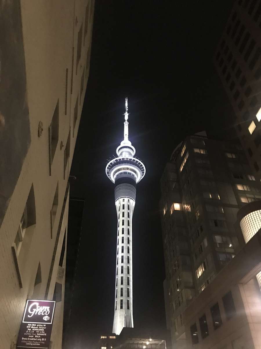Sky Tower (Auckland) puzzle online
