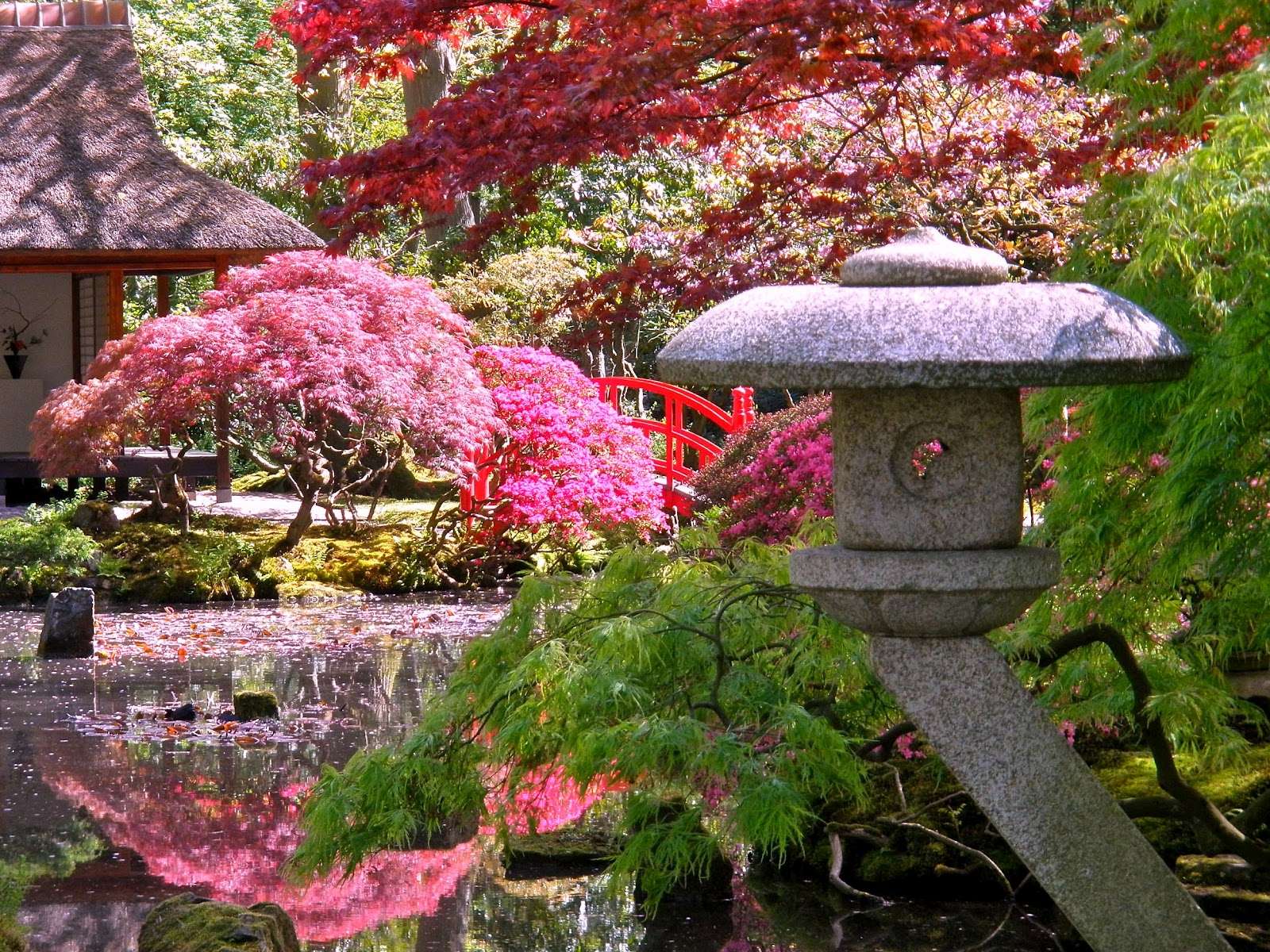 Ogród Zen Z Kwiatami puzzle online ze zdjęcia