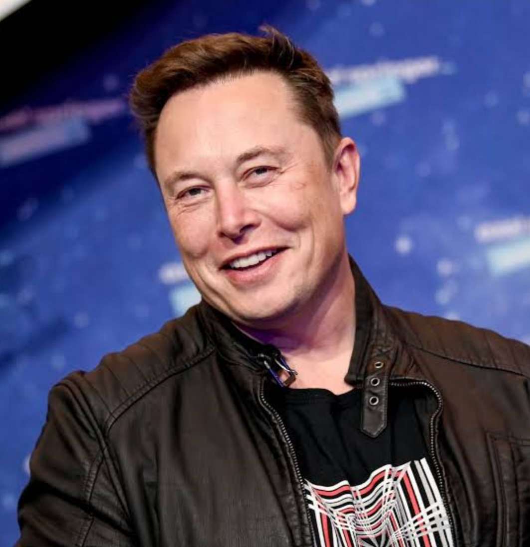 Elon Musk. puzzle online