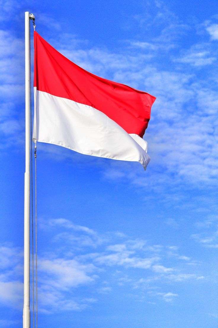 Flaga Indonezji puzzle online