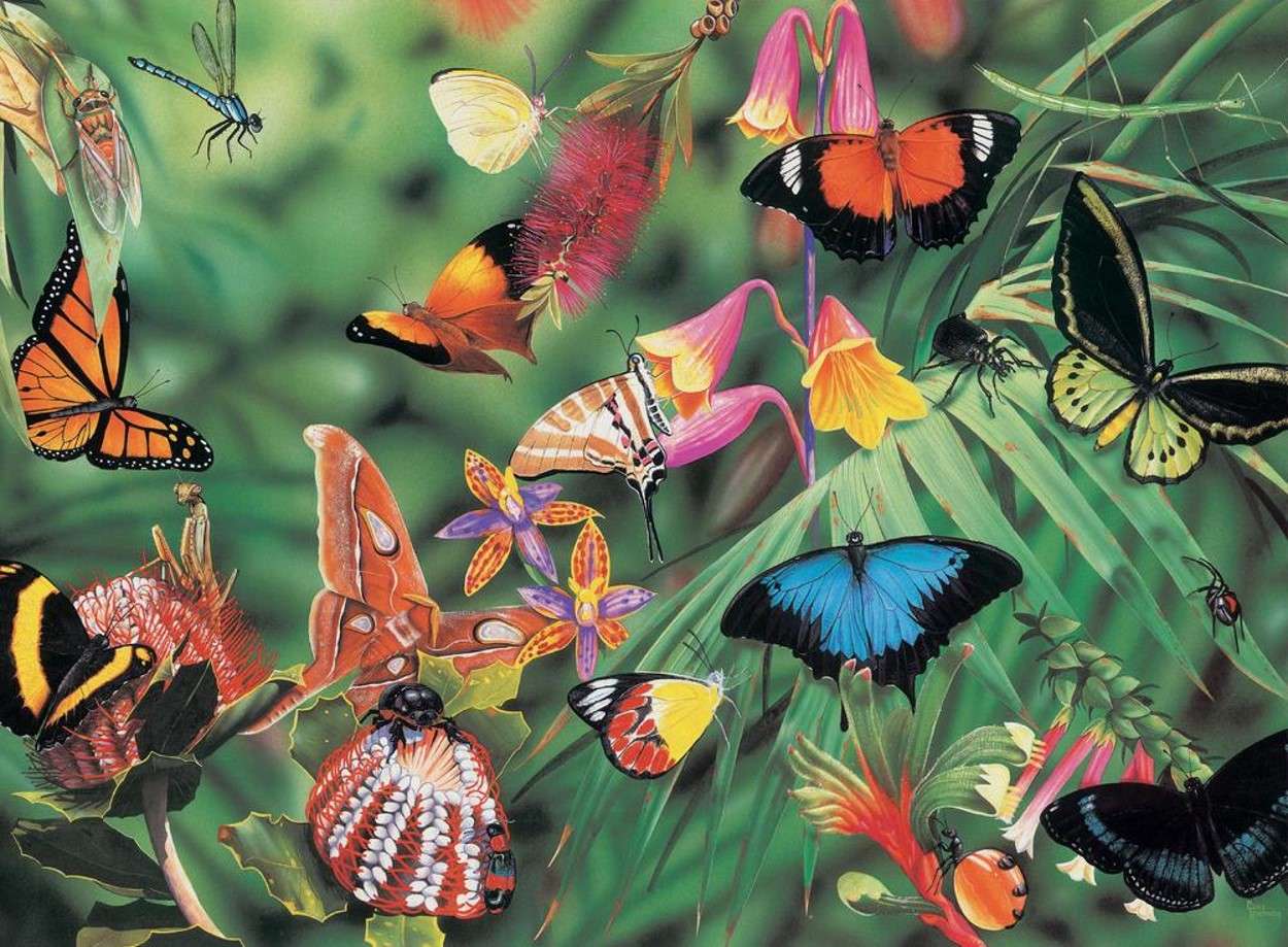 Motyle lasu deszczowego puzzle online
