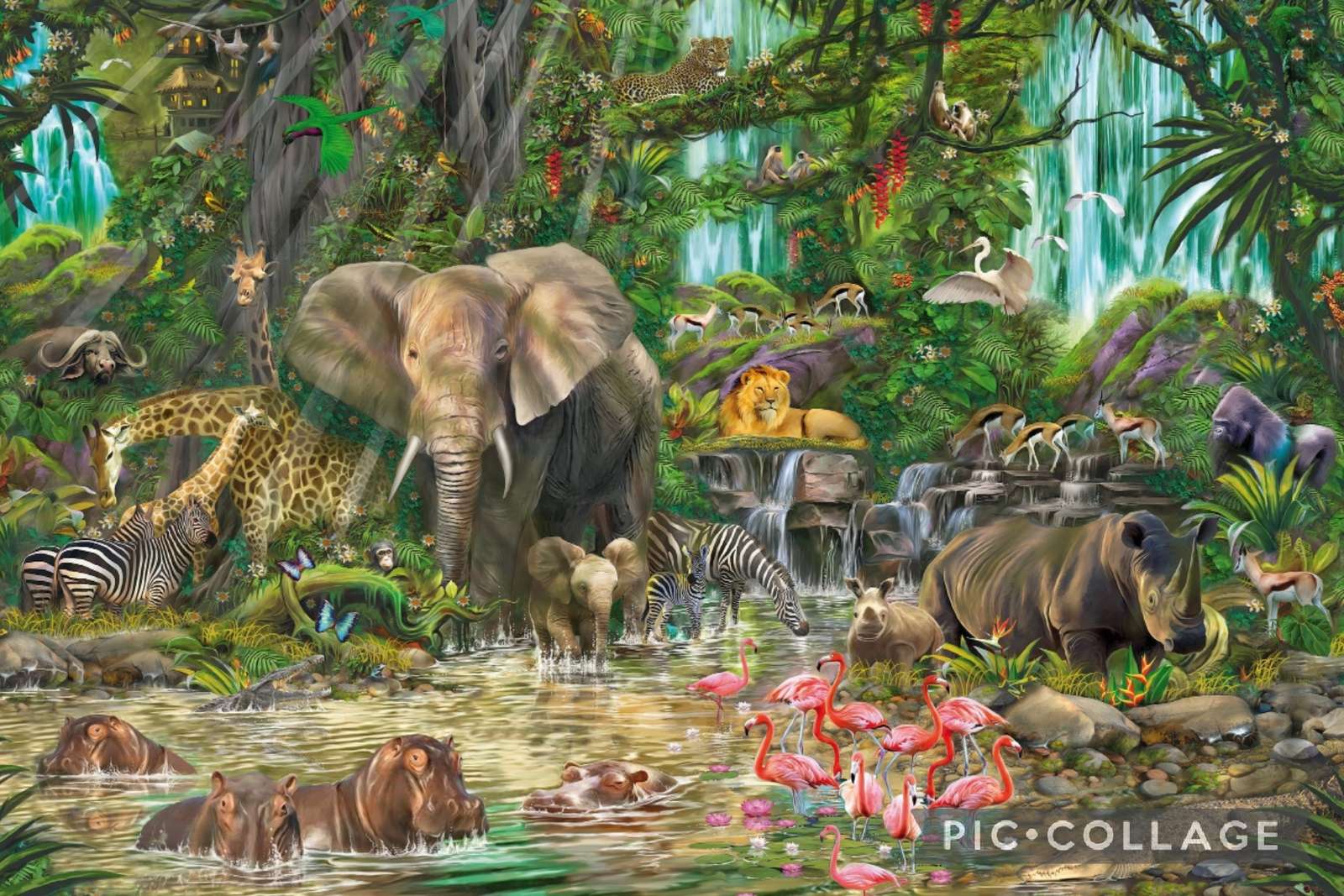 Afrykańska dżungla puzzle online ze zdjęcia
