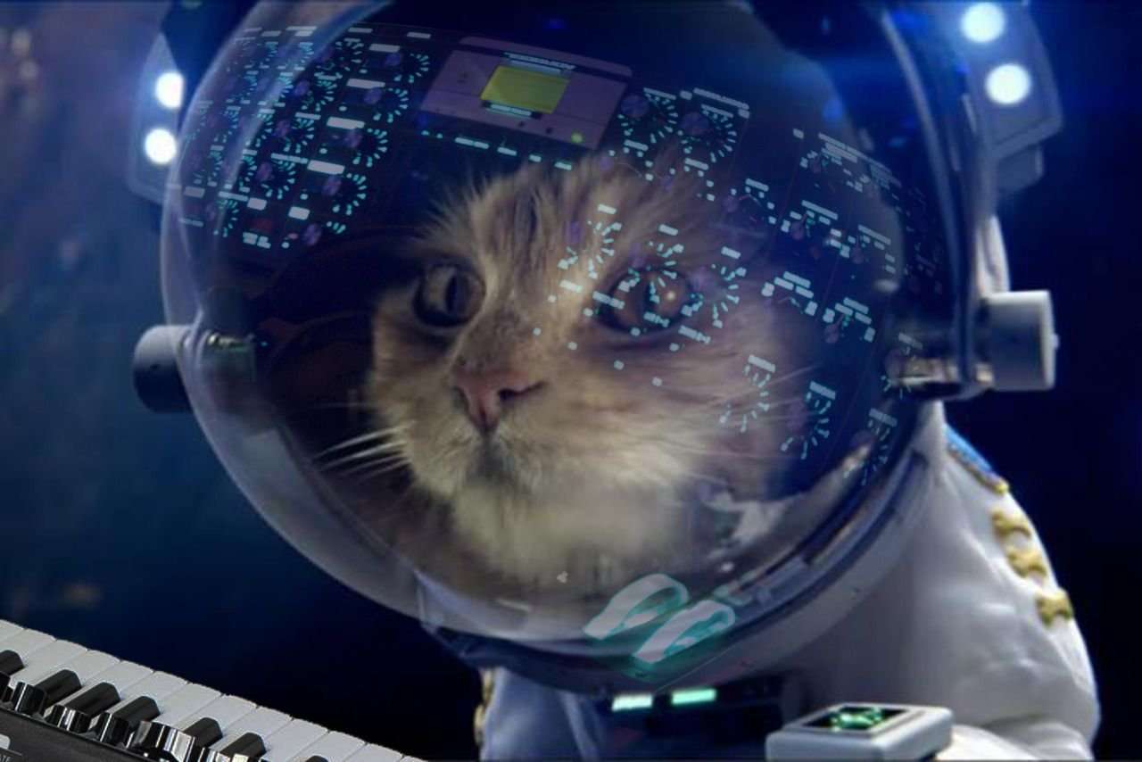 piękny kot w kosmosie puzzle online