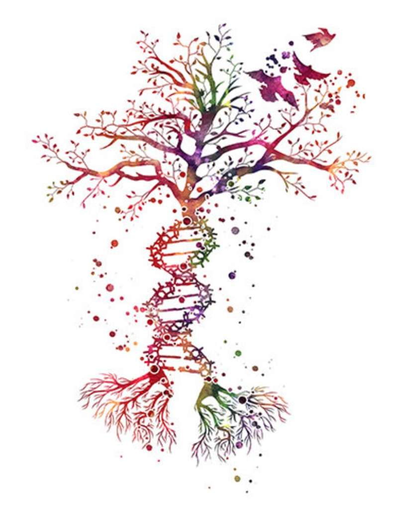 DNA drzewa puzzle online