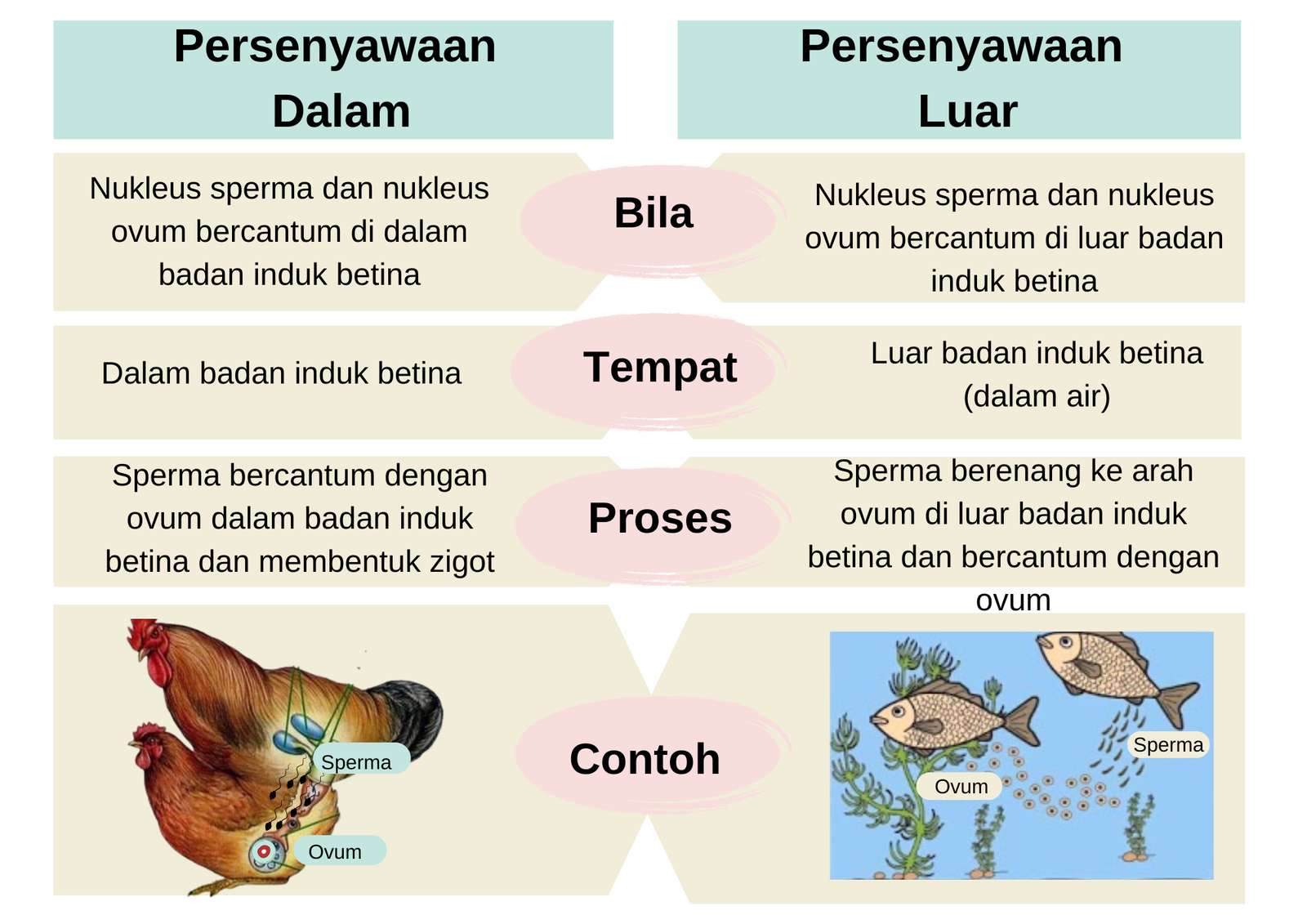 Nur Aliah Binti Riduan puzzle online ze zdjęcia