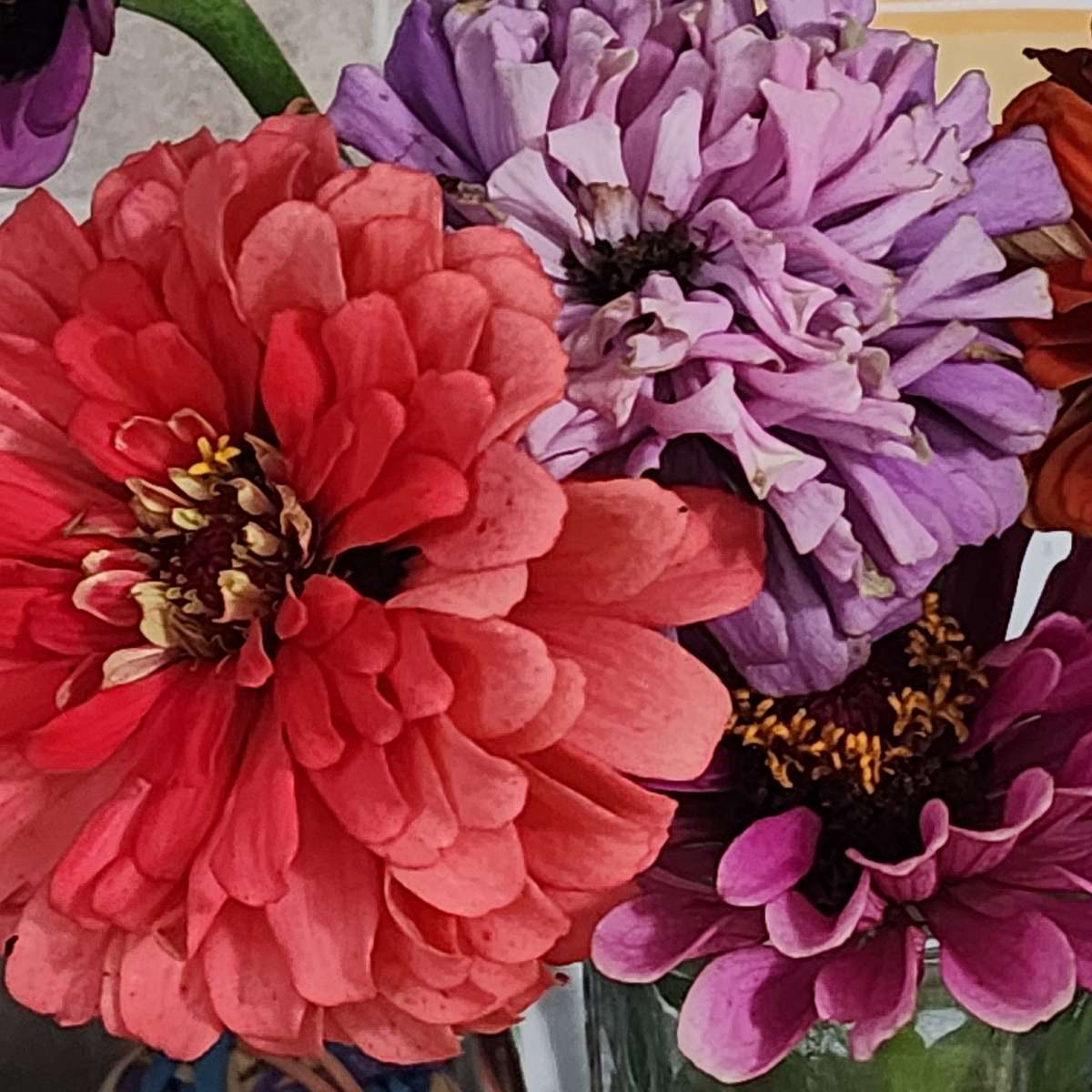 Letnie Kwiaty puzzle online