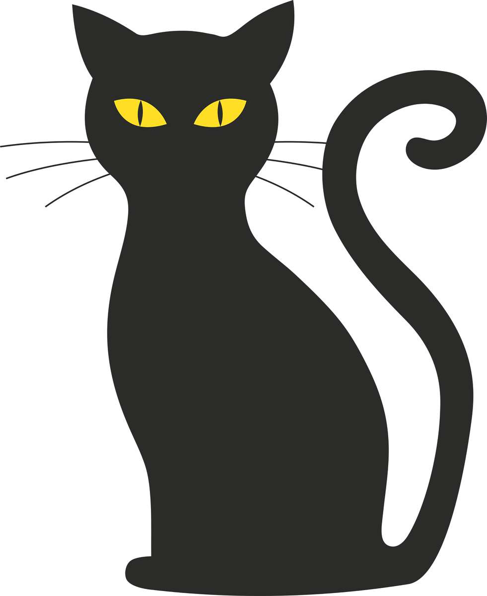 zagadka z czarnym kotem puzzle online ze zdjęcia