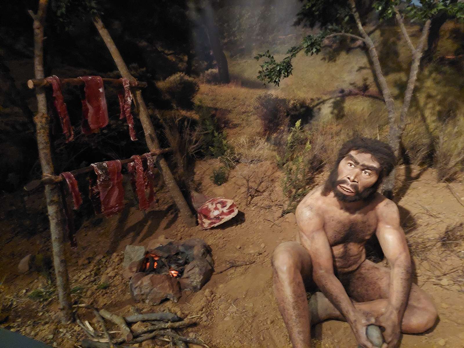Neandertalczyk puzzle online ze zdjęcia