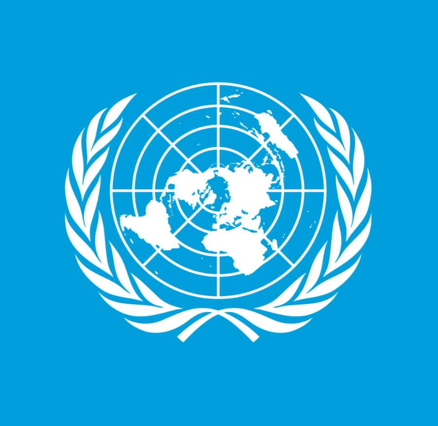 Organizacja Narodów Zjednoczonych puzzle online ze zdjęcia