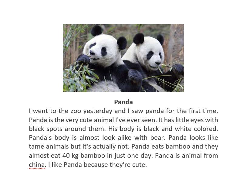 panda puzzle puzzle online ze zdjęcia